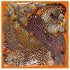 Elevate your fashion game with the beautiful and luxurious handmade scarf, shawl, and stoles for women and ladies. Our vintage-inspired accessories are crafted with 100% pure silk, making them the best-selling choice for elegant evening dresses and everyday wear. Our fashion designer has created neck and head scarves, large square scarves, and fashionable silk head kerchiefs to keep up with the latest fashion trending.